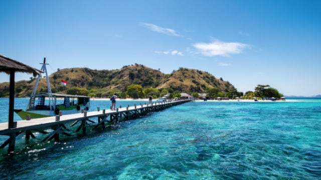 Mau Coba Snorkeling Pertama Kali? Ini 7 Hal yang Harus Kamu Perhatikan (76803)