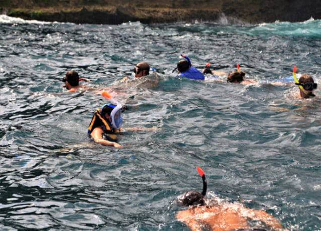 Mau Coba Snorkeling Pertama Kali? Ini 7 Hal yang Harus Kamu Perhatikan (76808)