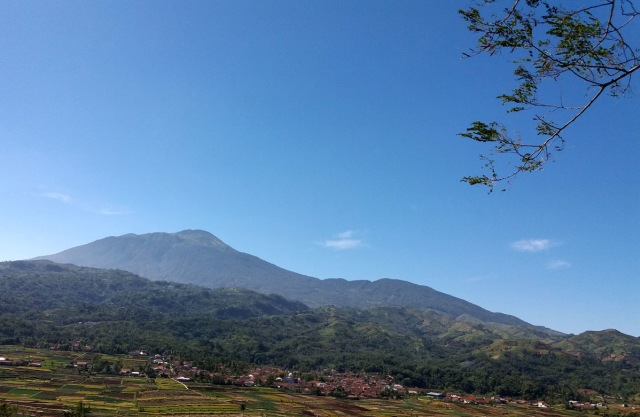 Taman Nasional Gunung Ciremai Wilayah II Majalengka . (Oki Kurniawan)