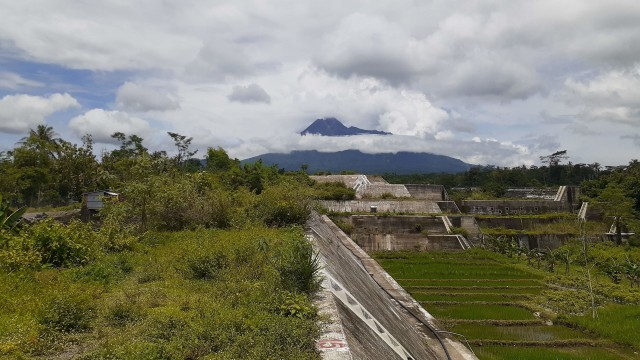 Gunung Merapi difoto dari Bronggang, Desa Argomulyo, Cangkringan, Sleman. Foto: Arfiansyah Panji Purnandaru/kumparan