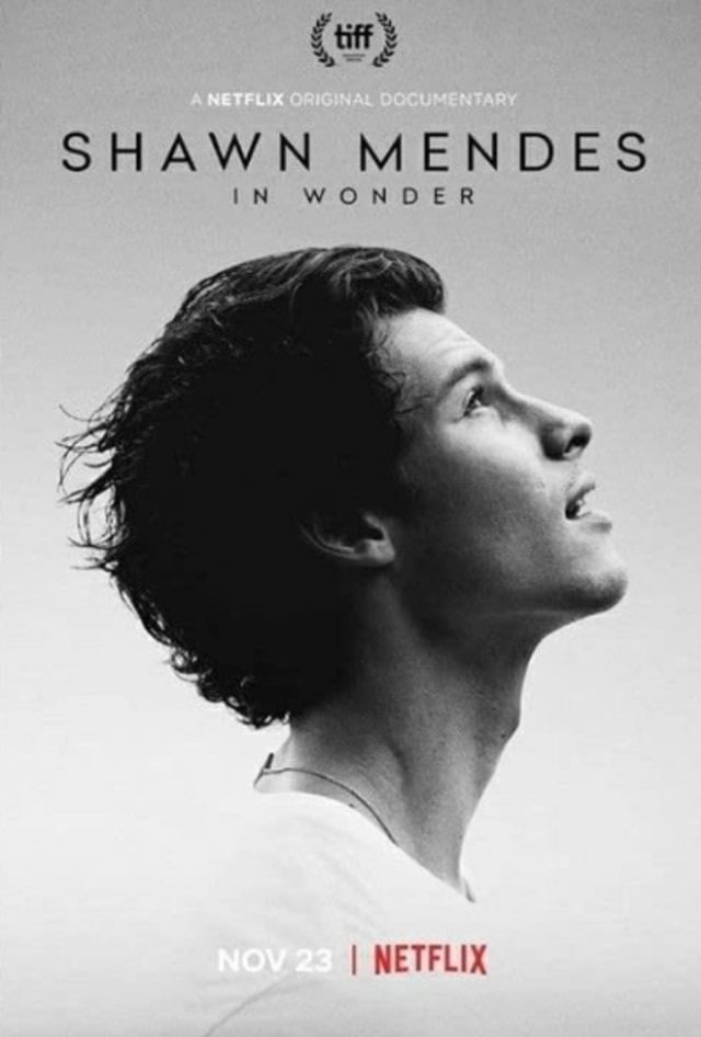 Poster film Shawn Mendes: In Wonder. Dok: IMDb