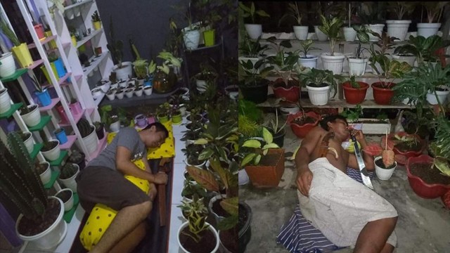 Para suami menjaga tanaman istri. (Foto: @StafKhususGenZ/Twitter) 
