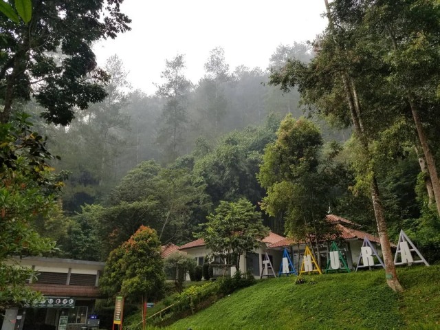 Ilustrasi taman hutan raya Foto: Instagram @tahuradjuanda.official