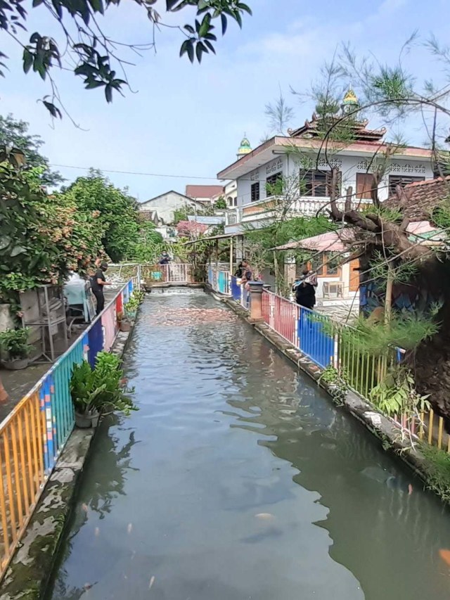 Suasana irigasi di Kampung Dukuh, RT 69 RW 14, Gedongkiwo, Mantrijeron, Kota Yogyakarta bertabur ikan. Foto: Arfiansyah Panji Purnandaru/kumparan