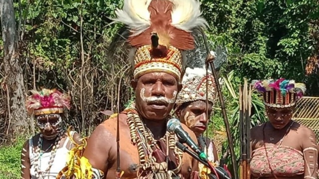 Panglima TNI Kirim 59 Babi Hutan Untuk Perayaan Bakar Batu di Papua (108401)