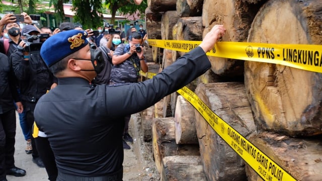 KAPOLDA Riau, Irjen Pol Agung Setya Imam Effendi saat melihat barang bukti kayu log dari hutan alam yang ditebang secara ilegal dari rimba Suaka Margasatwa Rimbang Baling. 