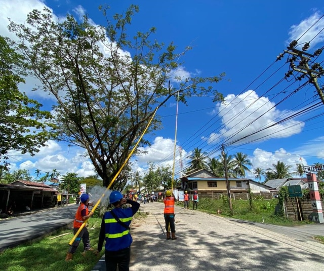 PLN Kalbar Ciptakan Aplikasi Peta Pohon (173032)