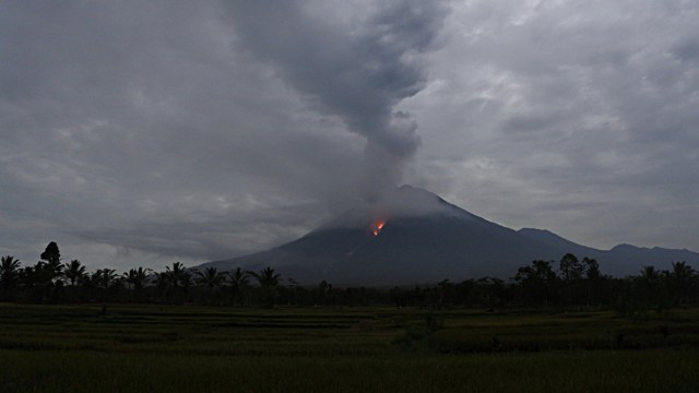 Guguran lava pijar teramati dari Kecamatan Candipuro, Lumajang, Jawa Timur, Selasa (1/12). Foto: Seno/ANTARA FOTO