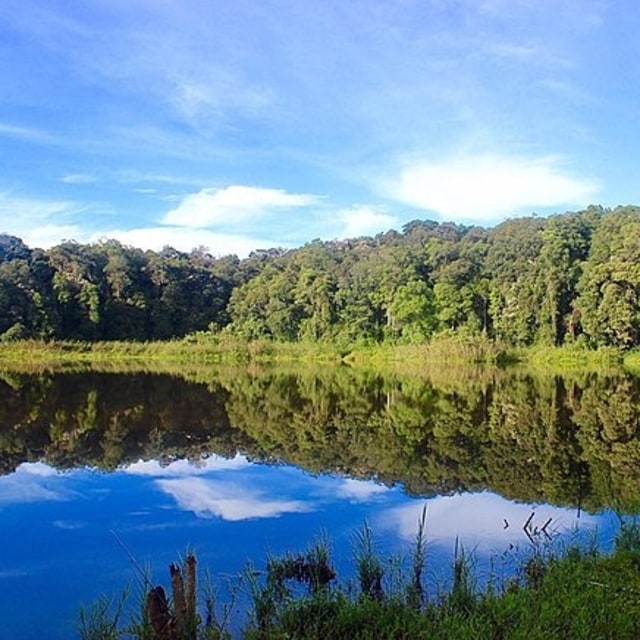 Danau Tambing di Taman Nasional Lore Lindu Foto: Dok. Wikimedia Commons