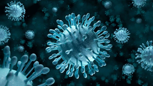 Virus Foto: dok Science
