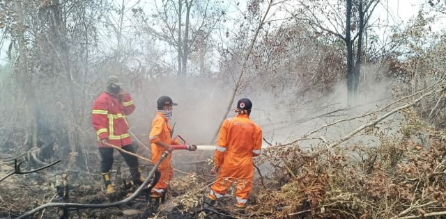 Tim BPBD bersama Satgas Karhutla saat mencoba memadamkan api di Sumsel. (Foto: istimewa)