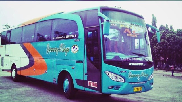 Ini 7 PO Bus yang Masih Setia Layani Jalur Selatan Pulau Jawa (233047)