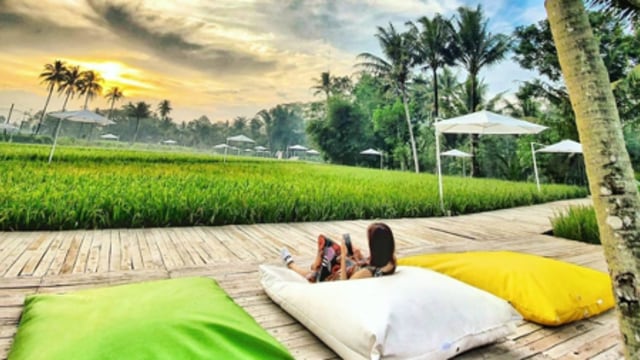 Menilik Potensi Agrowisata di Indonesia (249875)