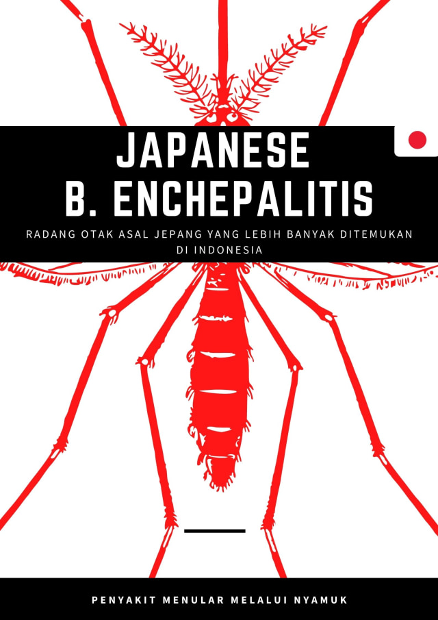 Japanese B encephalitis: Radang Otak yang jarang ditemukan di Jepang