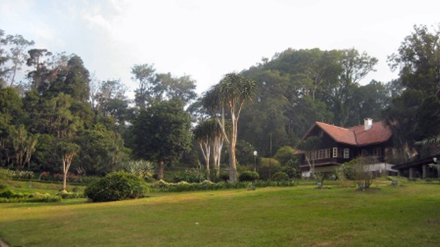 Rekomendasi 5 Kebun Raya di Indonesia untuk Wisata Bersama Keluarga (21407)