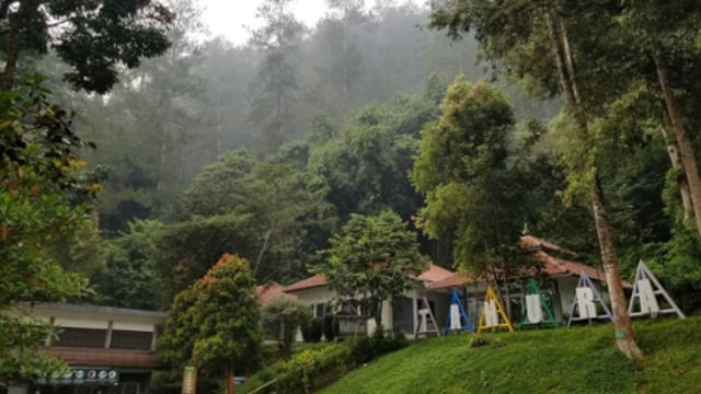 Rekomendasi 5 Kebun Raya di Indonesia untuk Wisata Bersama Keluarga (21409)