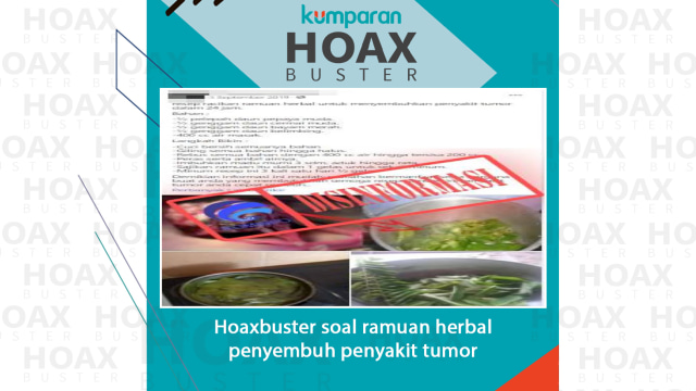 Hoaxbuster soal ramuan herbal penyembuh penyakit tumor.
  Foto: Kominfo