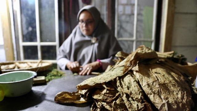 Foto: Kisah di Balik Cerutu Gayo dengan Tembakau 42 Aroma (135508)