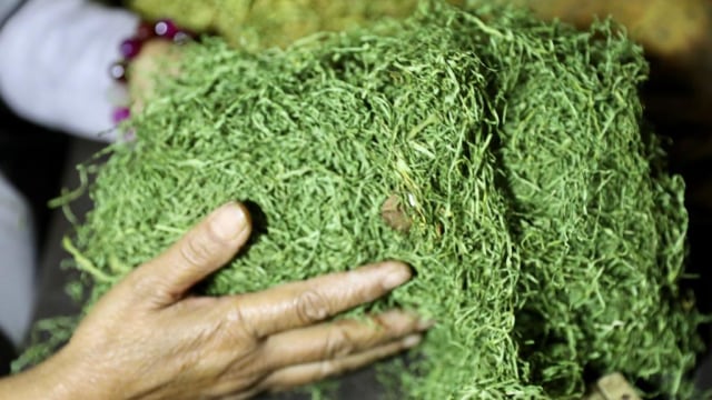 Foto: Kisah di Balik Cerutu Gayo dengan Tembakau 42 Aroma (135503)