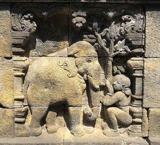 Menyingkap Makna Relief Flora Dan Fauna Era Jawa Kuno Di Candi Borobudur Kumparan Com