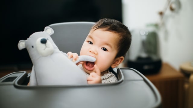 Alasan Anak Anak Suka Main Boneka Binatang Kumparan Com