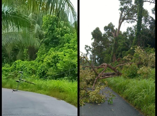 Tiga tiang listrik patah akibat pohon durian yang roboh dihajar angin kencang.