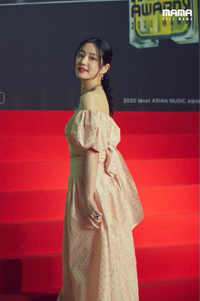 Deretan Potret Aktor dan Aktris Korea yang Hadir di MAMA 2020 (85761)