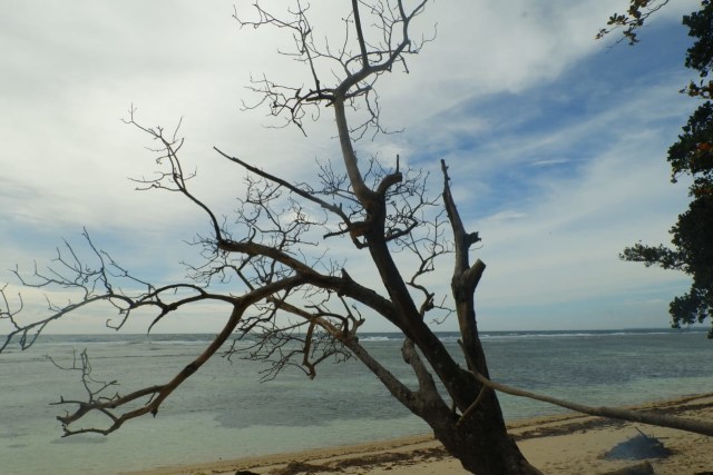 The Surf Villa Ujung Bocur, Penginapan Suasana Perkampungan di Pesisir Barat (248910)