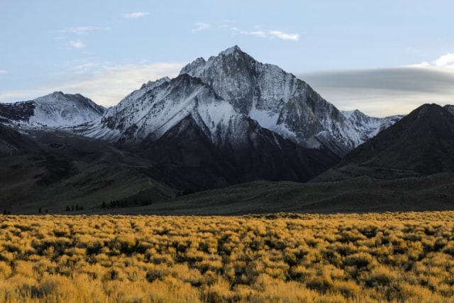 ilustrasi gunung foto:Unsplash