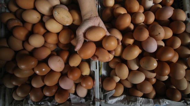Pekerja menata telur ayam ras di salah satu stan, di Pasar. Foto: ANTARA FOTO/Moch Asim