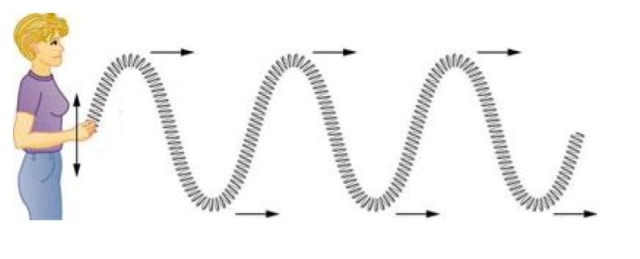 Gelombang Tranversal Foto: dok Khan Academy