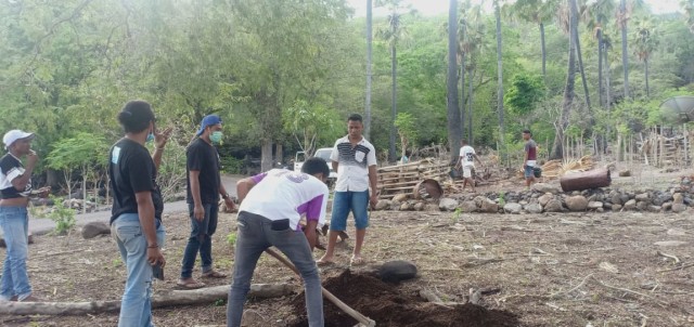 Relawan Komunitas Taman Daun sedang mengubur ternak warga korban erupsi Ile Lewotolok yang ditemukan mati. Foto: Teddi Lagamaking.