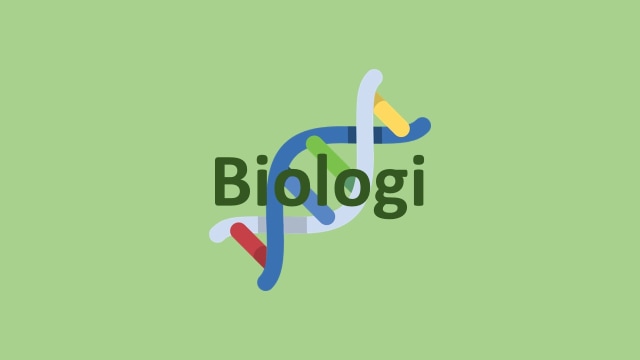 Cabang Cabang Biologi Ini Penting Untuk Diketahui Simak Penjelasannya Di Sini Kumparan Com Cabang Cabang Biologi Ini Penting Untuk Diketahui Simak Penjelasannya Di Sini Kumparan Com