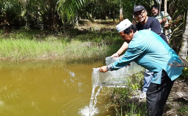Masyarakat penerima bantuan melepaskan benih ikan nila ke kolam budidaya. Foto: Humas Pemkab Nagan Raya