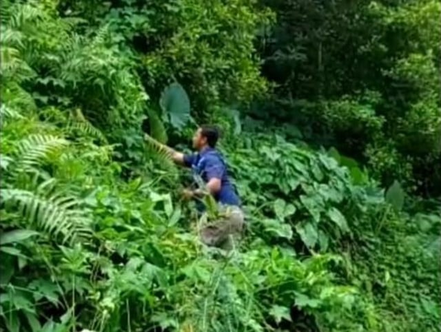 Djainul Muttakin sedang mencari janda bolong di tengah hutan, sepulang bertugas. Foto: istimewa 