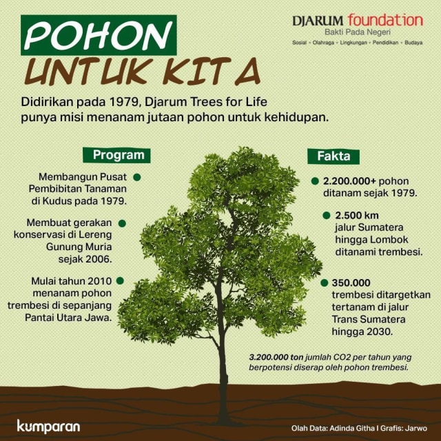 Pohon Trembesi: Efektif Serap Karbon Dioksida dan Kurangi Pemanasan