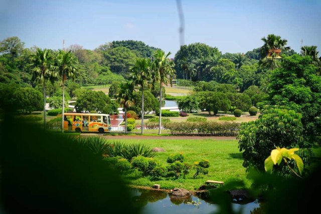 Suasana di Taman Buah Mekarsari Foto: Instagram @mekarsarifruitgarden
