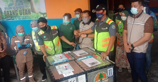 Saat Tim BKSDA Jambi menerima kepulangan dua orangutan di Cargo Bandara Sulthan Thaha Jambi. Foto: Jambikita.id