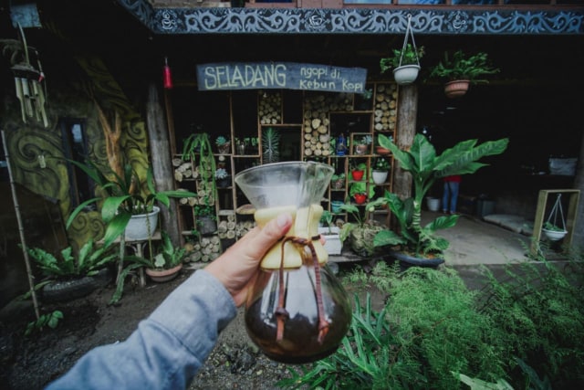 Kedai Seladang Kopi, ngopi langsung di kebun. Foto: Ahmad Ariska/acehkini