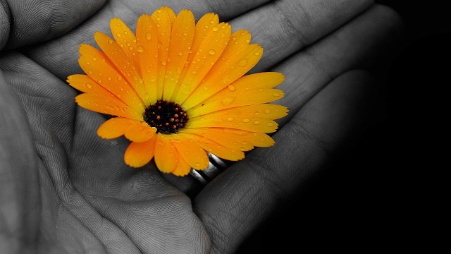 Ada beberapa tanda hubungan percintaan seseorang tidak bahagia yang menarik untuk dibahas. Foto. dok: Pixabay