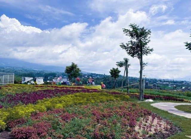 Menikmati Sekitar 500 Jenis Tanaman di Batu Love Garden (25810)