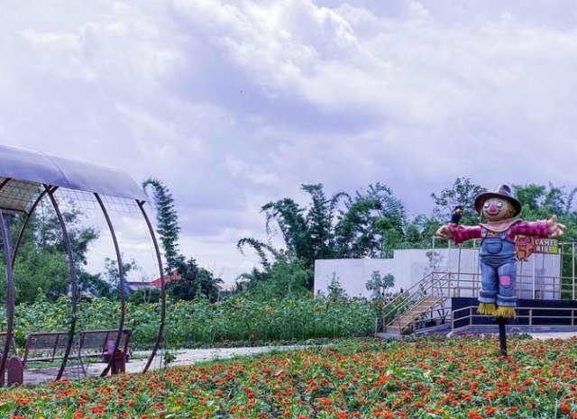Menikmati Sekitar 500 Jenis Tanaman di Batu Love Garden (25812)