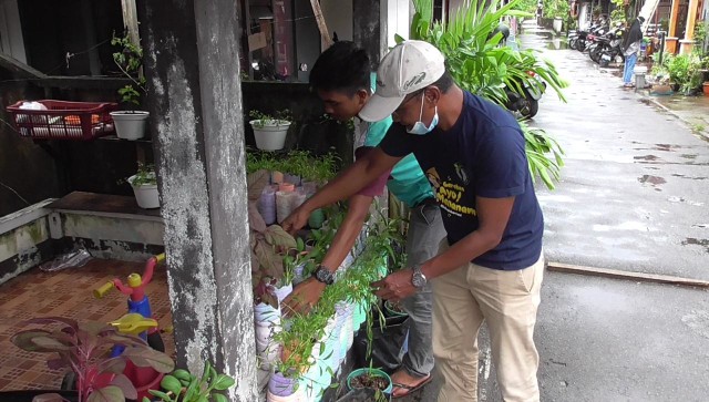 Kampung Sayur di Gang Nilam 7 Pontianak. Foto: Dok Hi!Pontianak