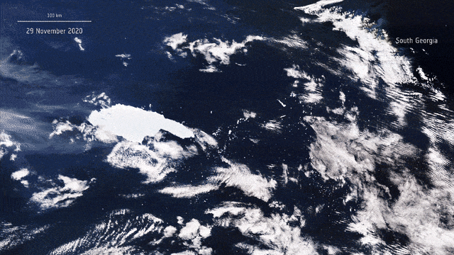 Serangkaian gambar yang diambil selama lebih dari dua minggu menunjukkan A-68a mendekati Georgia Selatan, kemudian retak dan berputar setelah menabrak area lepas pantai dasar laut dangkal. Foto:  European Space Agency (ESA)