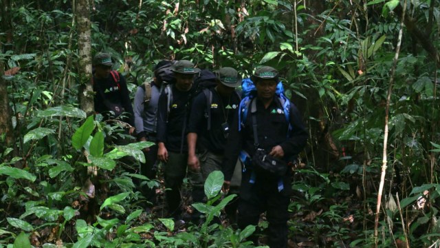 Jejak Pemburu di Rimba Leuser, Aceh: Pakai Jerat dan Senapan Bunuh Satwa Liar (469441)