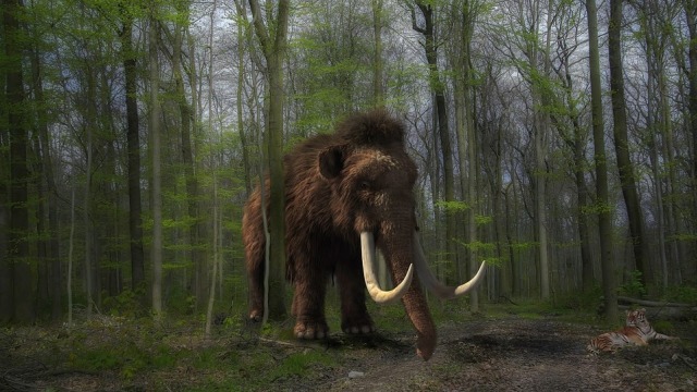 Ilustrasi mammoth. Foto: Michi-Nordlicht from Pixabay