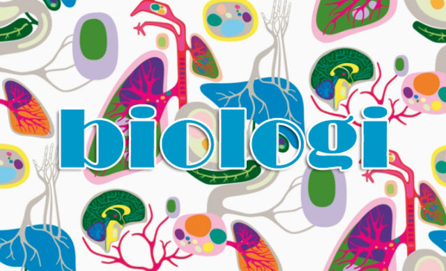 Cabang Cabang Biologi Ini Manfaat Dari Mempelajarinya Kumparan Com