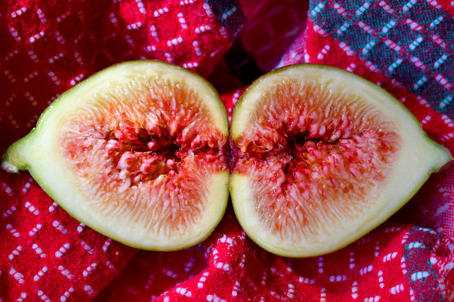 Ilustrasi buah tin atau buah ara Foto: Dok. Pixabay