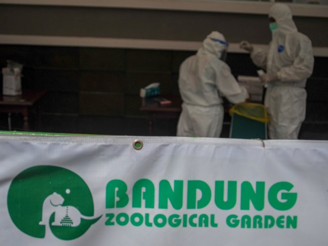 Dua orang tenaga kesehatan bersiap untuk melakukan tes cepat antigen kepada wisatawan yang akan mengunjungi Kebun Binatang atau Bandung Zoological Garden (Bazoga), Jawa Barat, Minggu (27/12/2020).  Foto: RAISAN AL FARISI/ANTARA FOTO