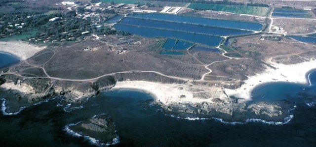 Israel Kuno Pernah Dihantam Tsunami Raksasa, Mirip Kisah Nabi Nuh (256493)
